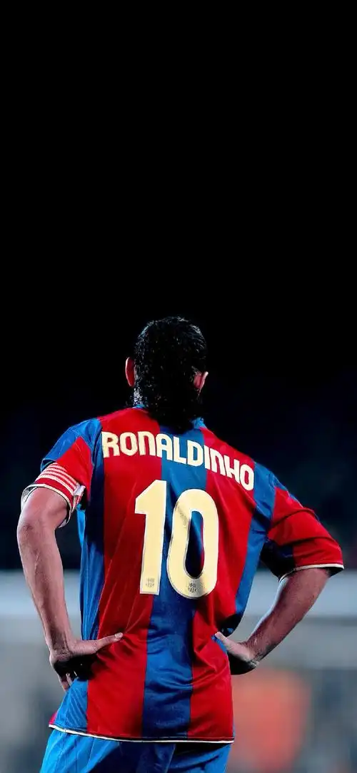 莱昂纳多的 莱昂纳多的