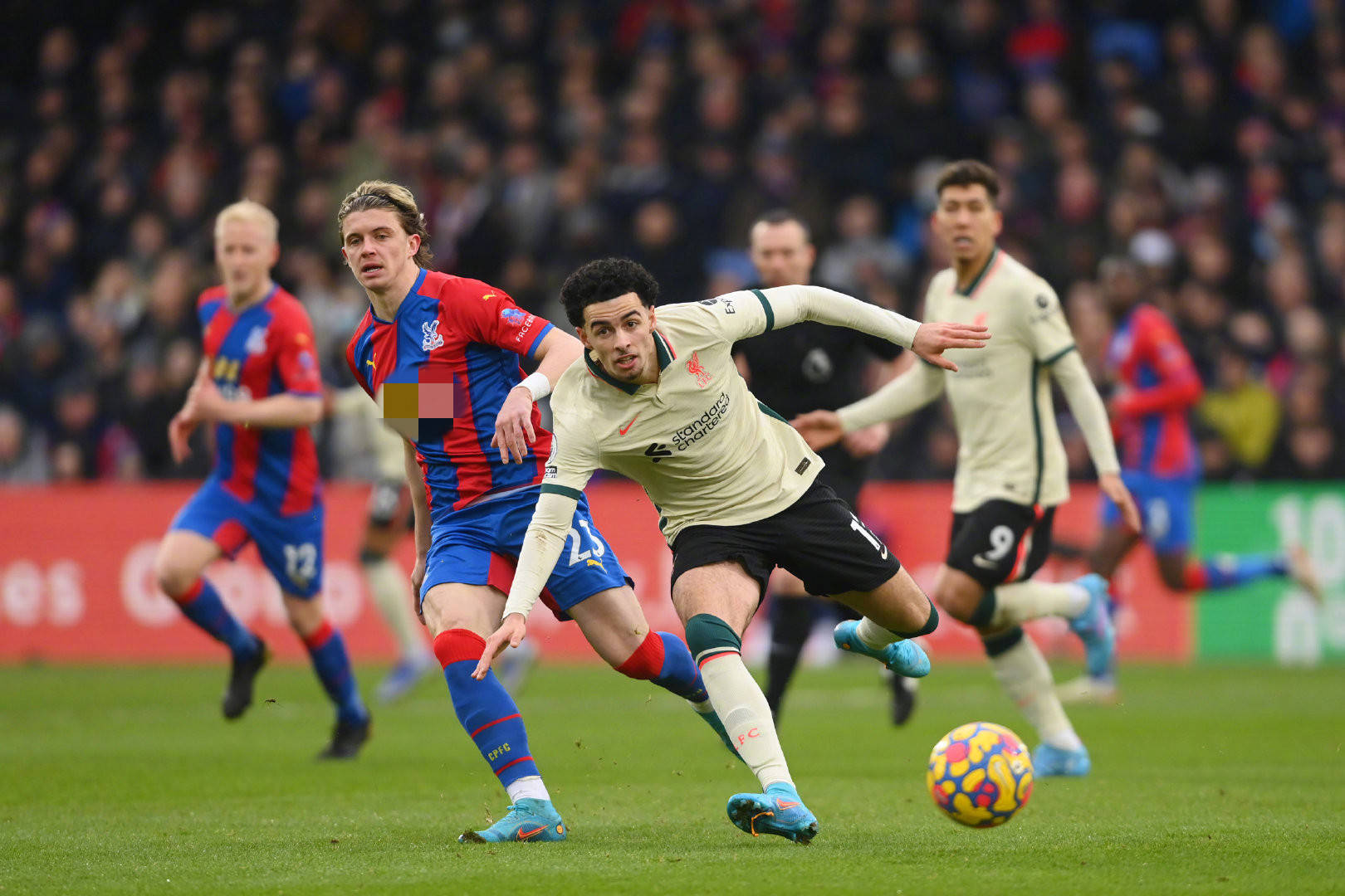 新号码的意 新号码的意